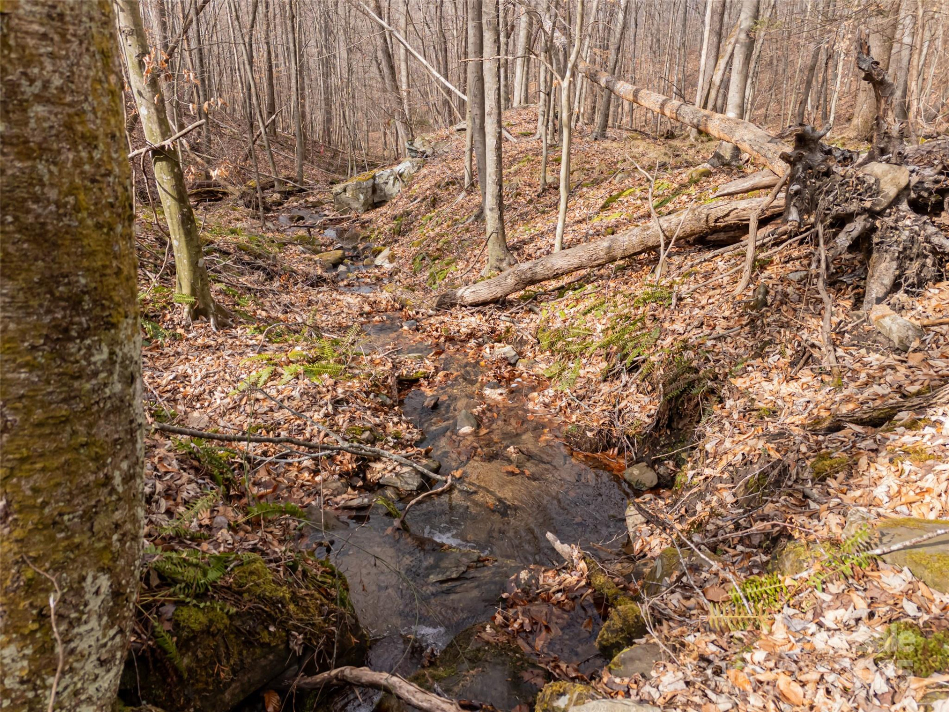 522 & 528 Blue Mist Way - Photo 16