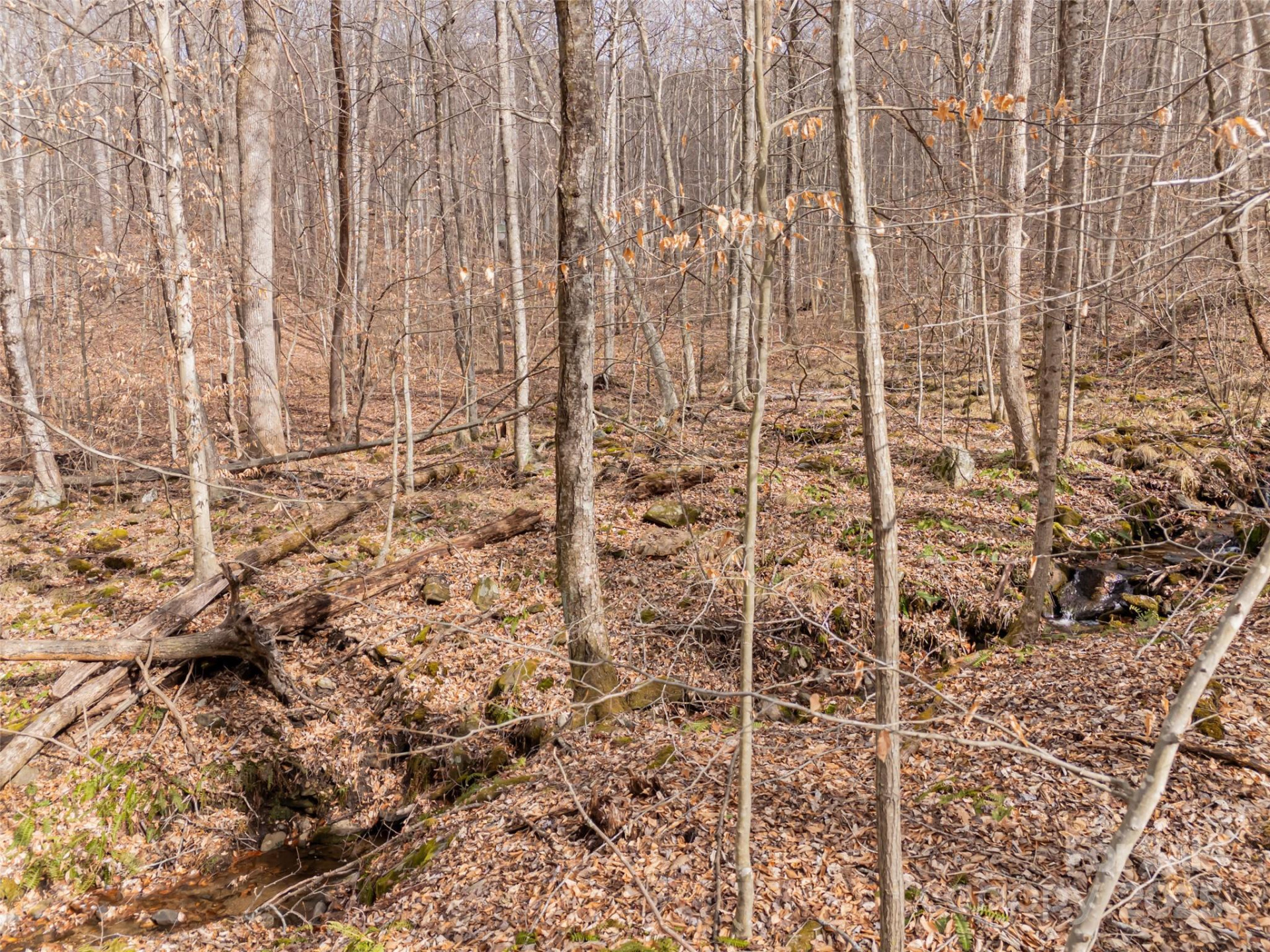 522 & 528 Blue Mist Way - Photo 17