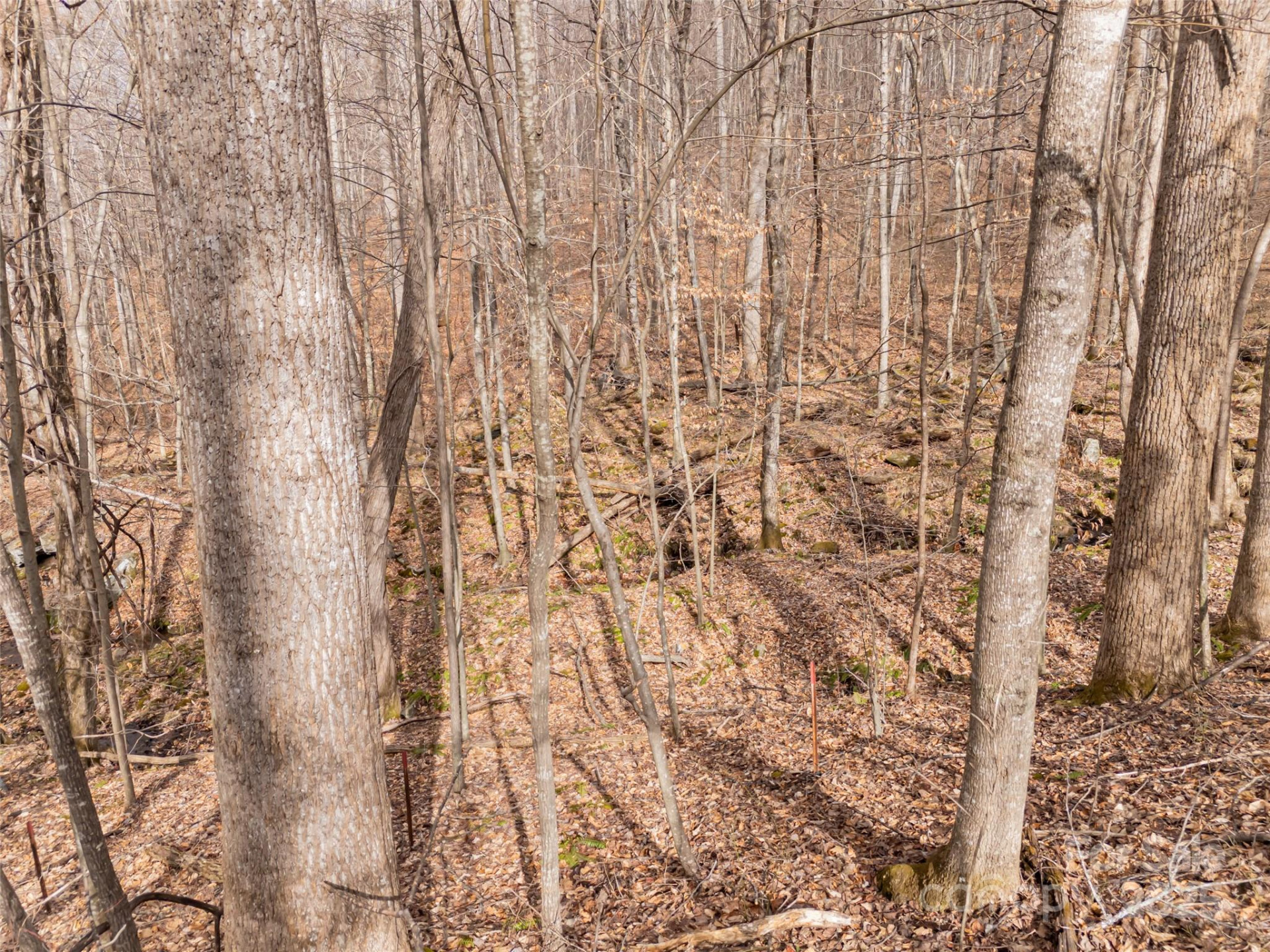 522 & 528 Blue Mist Way - Photo 18