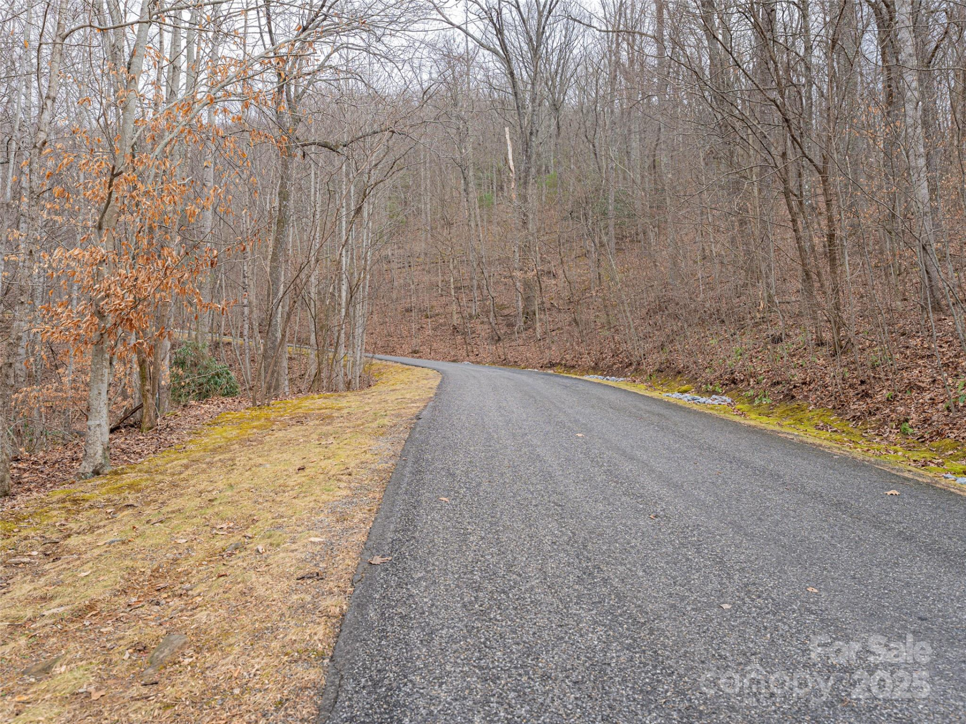 522 & 528 Blue Mist Way - Photo 3