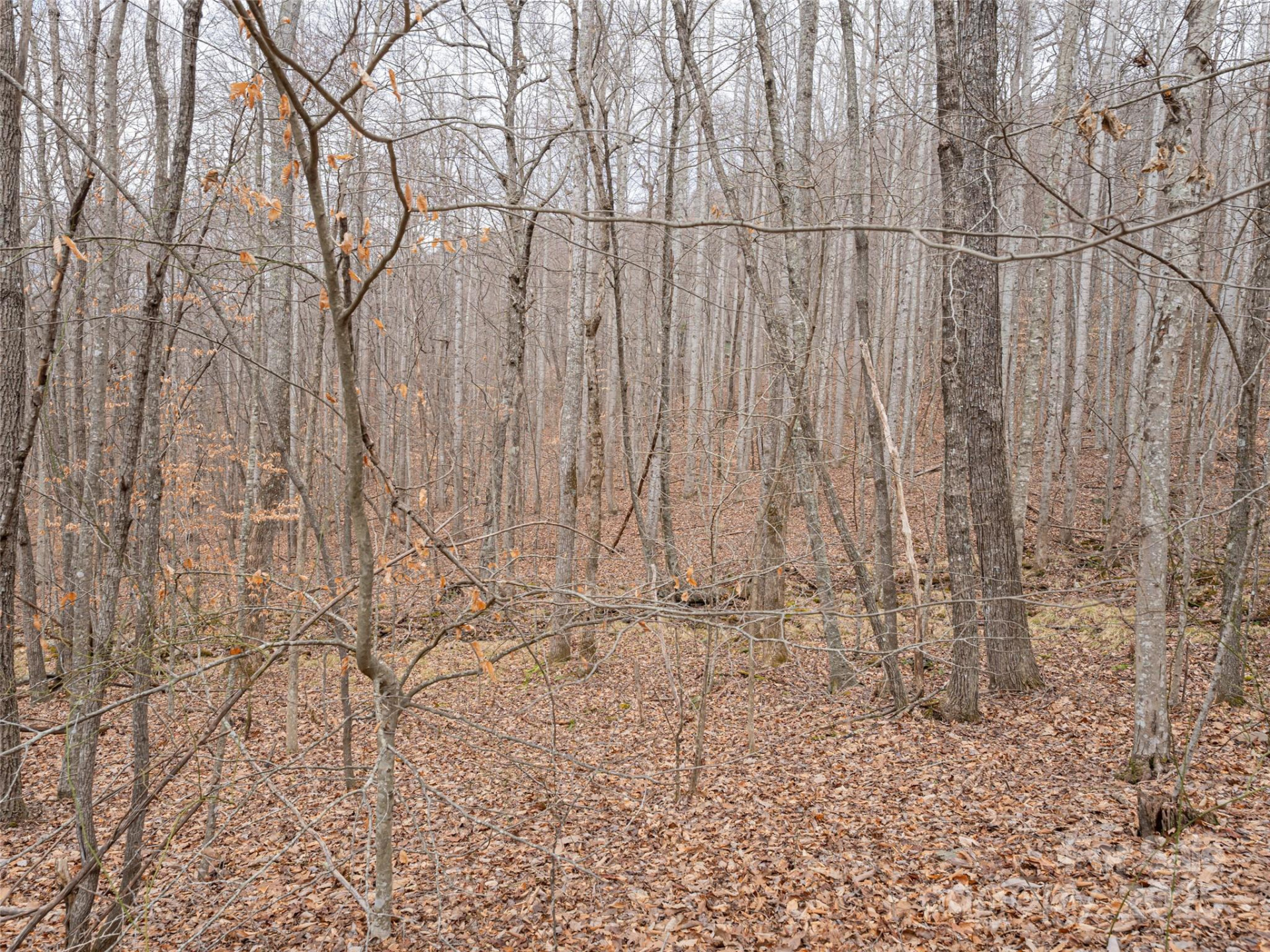 522 & 528 Blue Mist Way - Photo 21