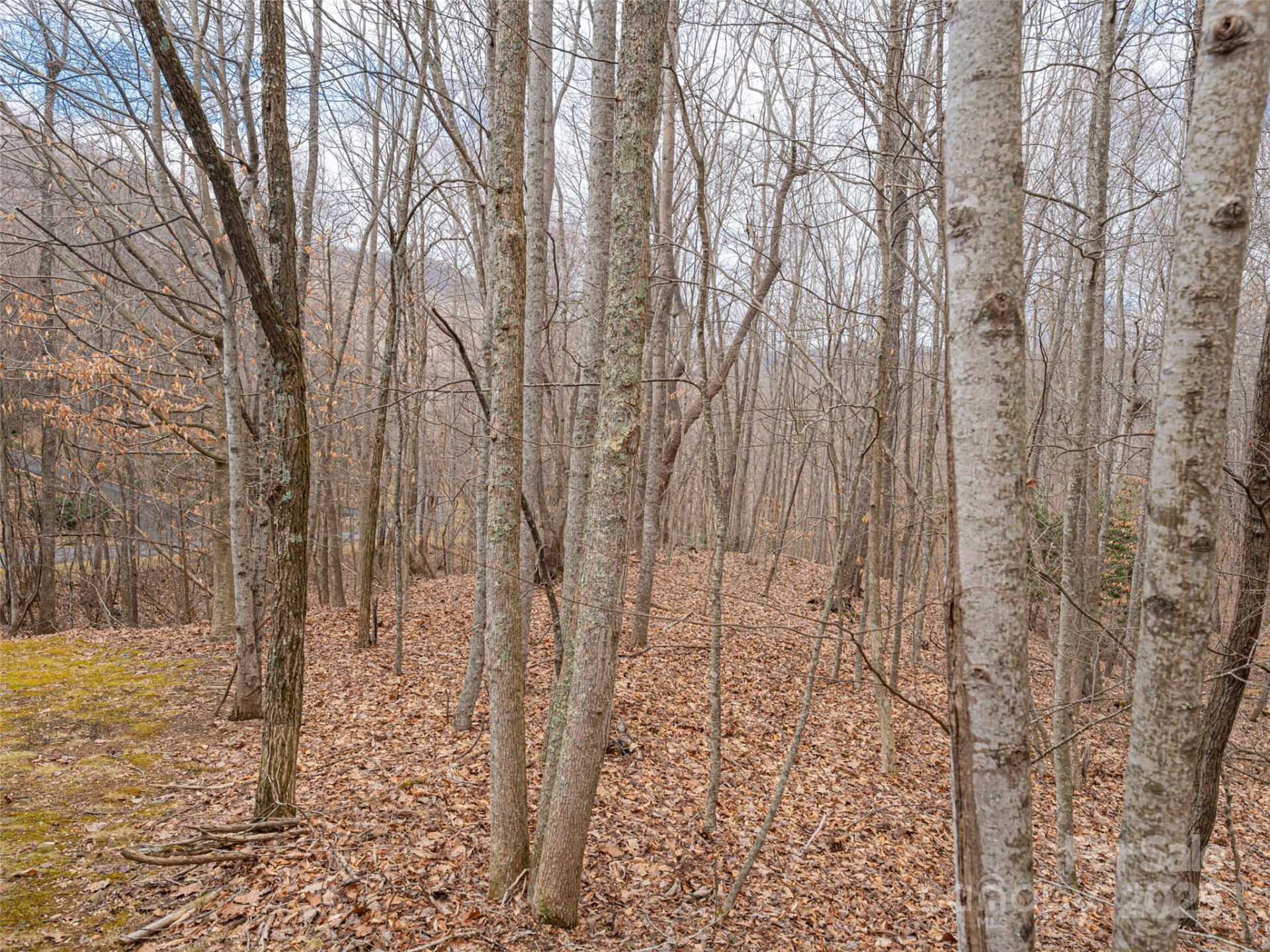 522 & 528 Blue Mist Way - Photo 22