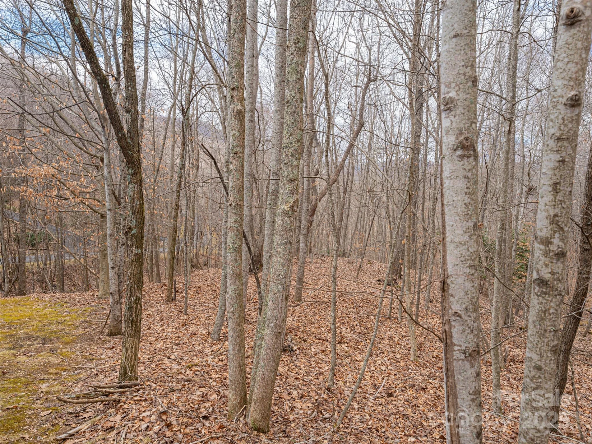 522 & 528 Blue Mist Way - Photo 22