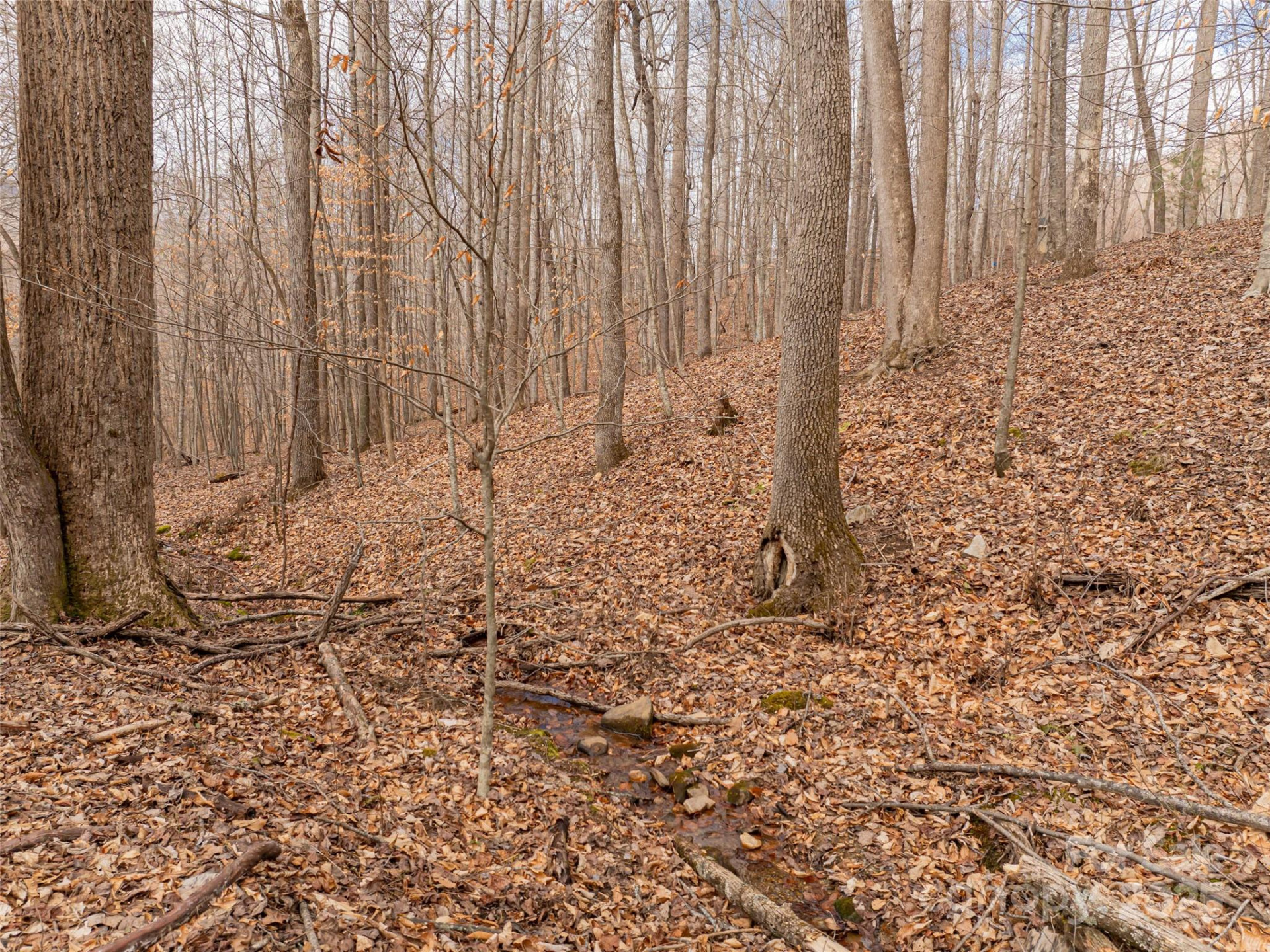 522 & 528 Blue Mist Way - Photo 24