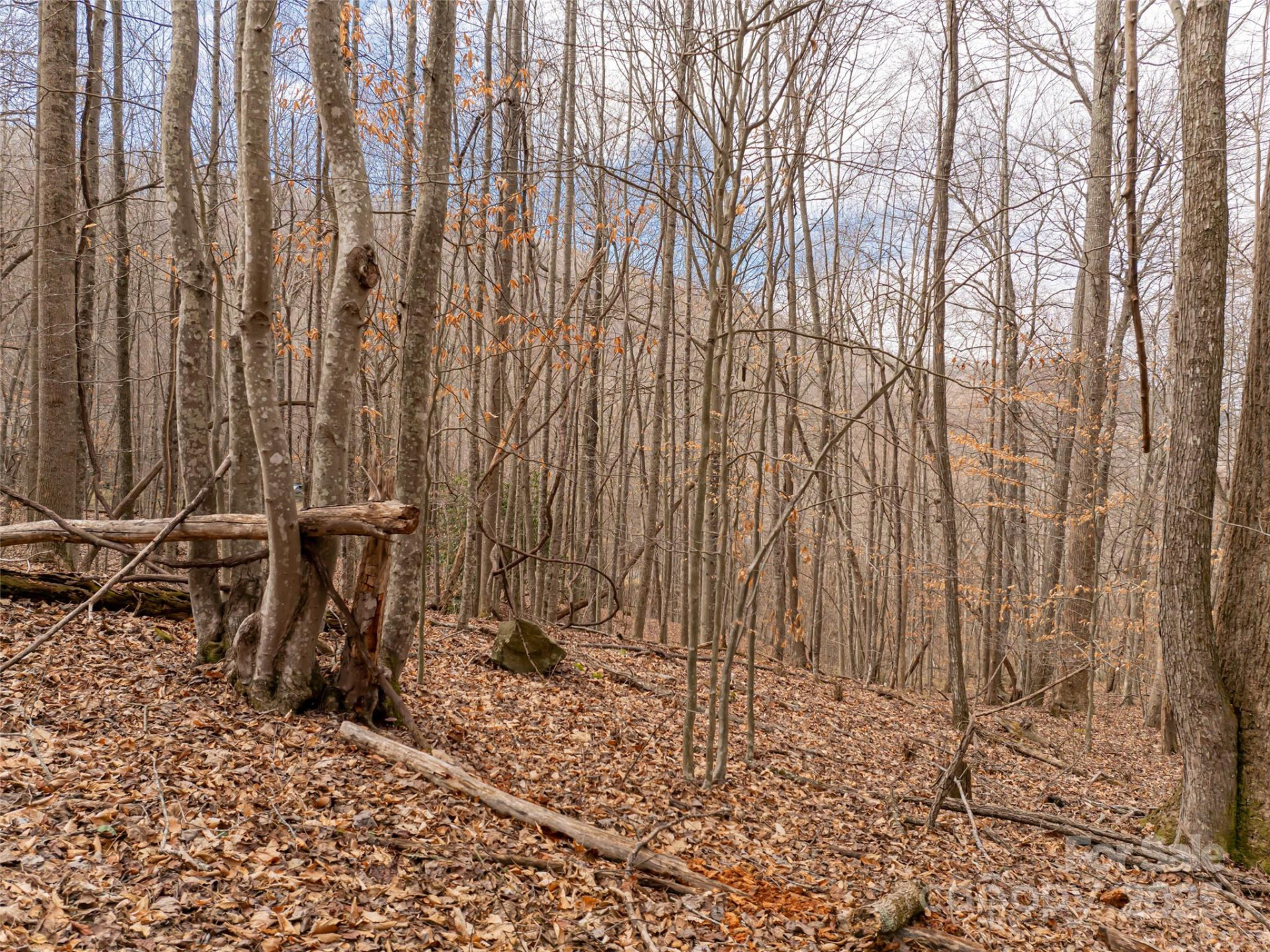 522 & 528 Blue Mist Way - Photo 25