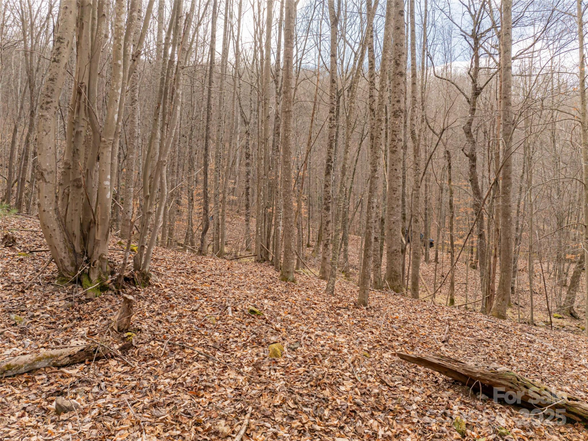 522 & 528 Blue Mist Way - Photo 27