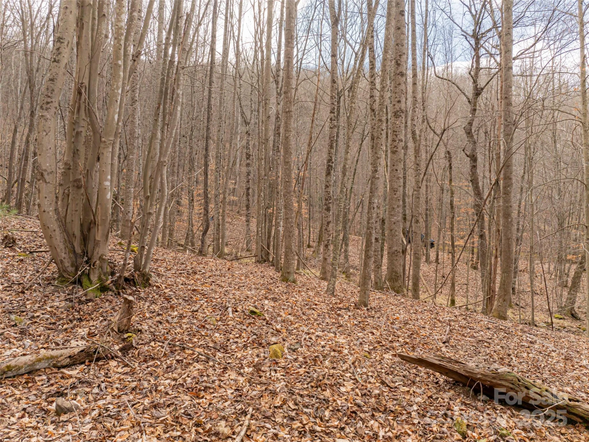 522 & 528 Blue Mist Way - Photo 27