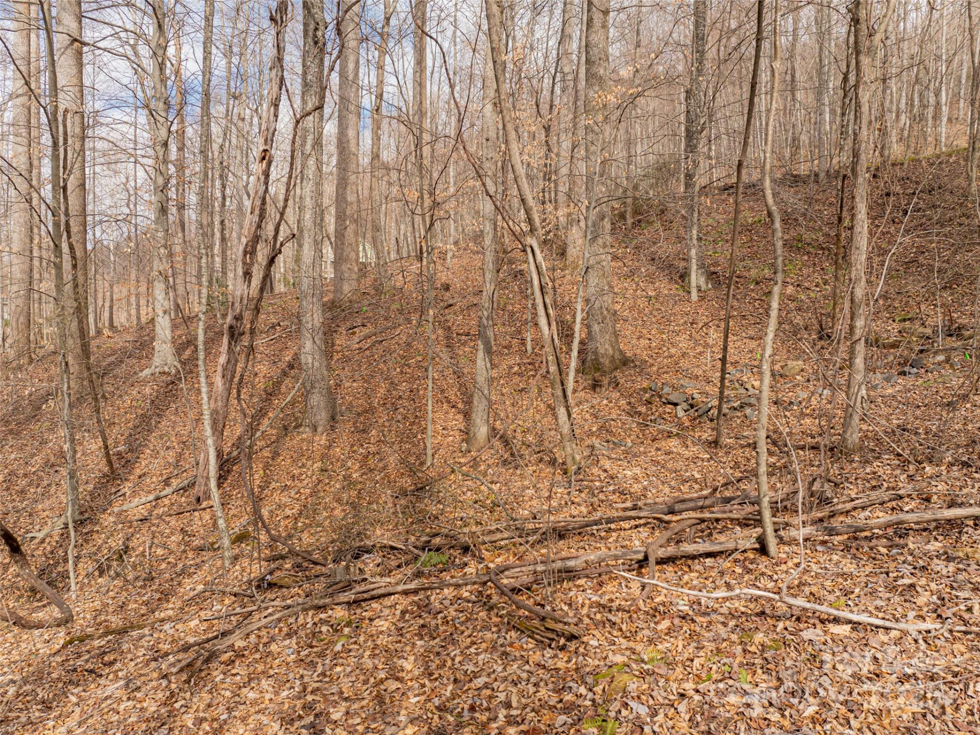 522 & 528 Blue Mist Way - Photo 28