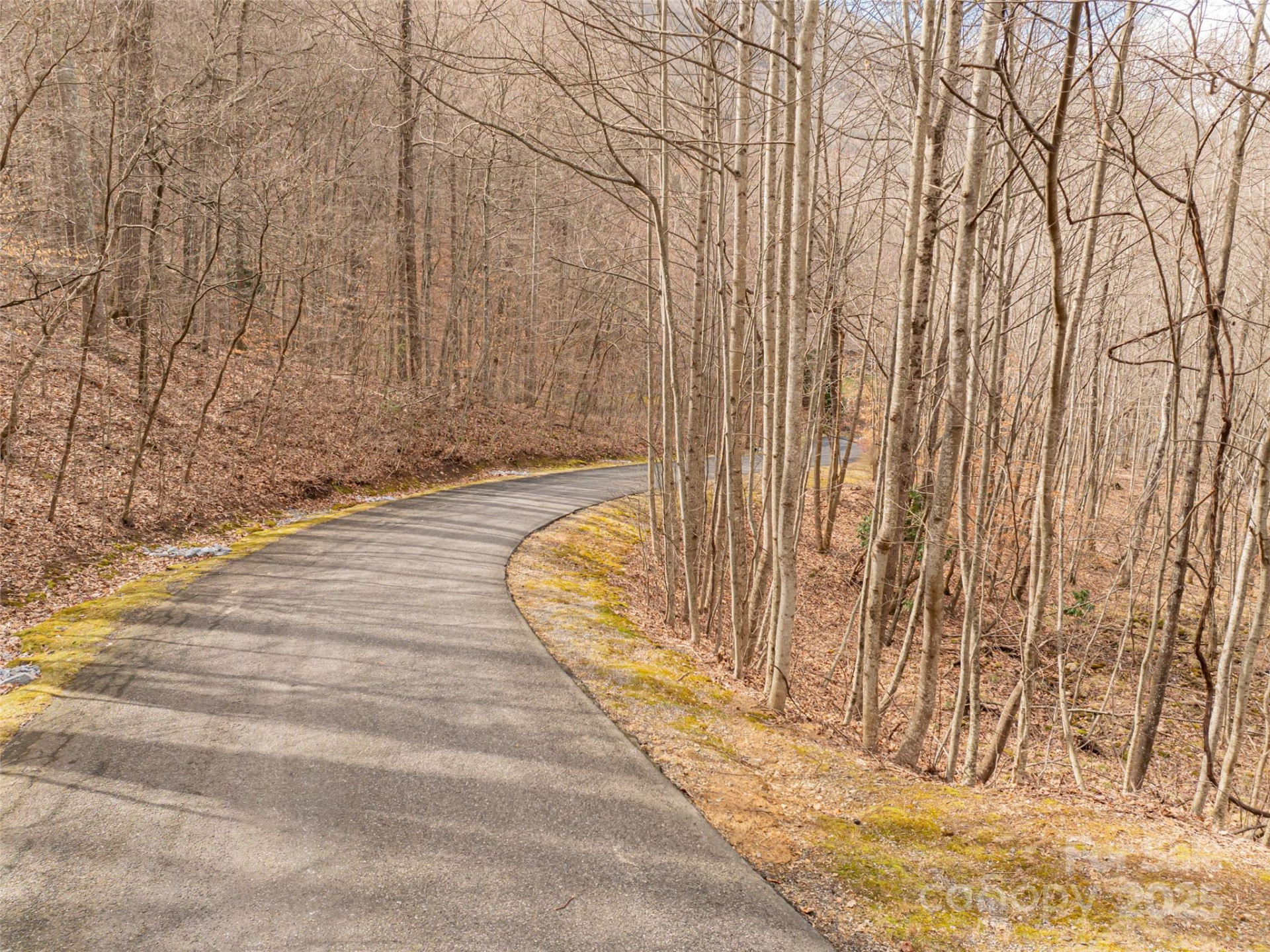 522 & 528 Blue Mist Way - Photo 29