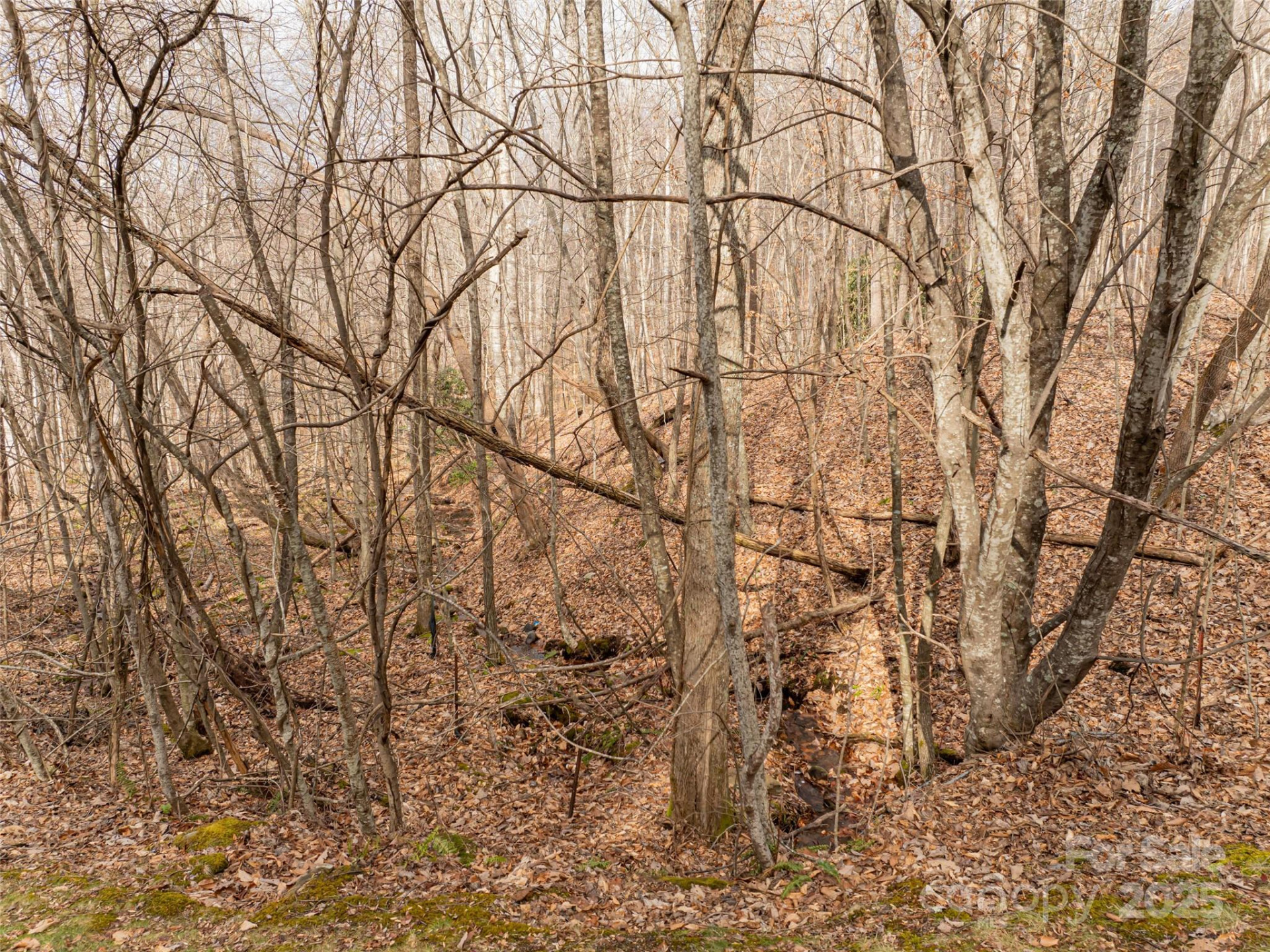 522 & 528 Blue Mist Way - Photo 30