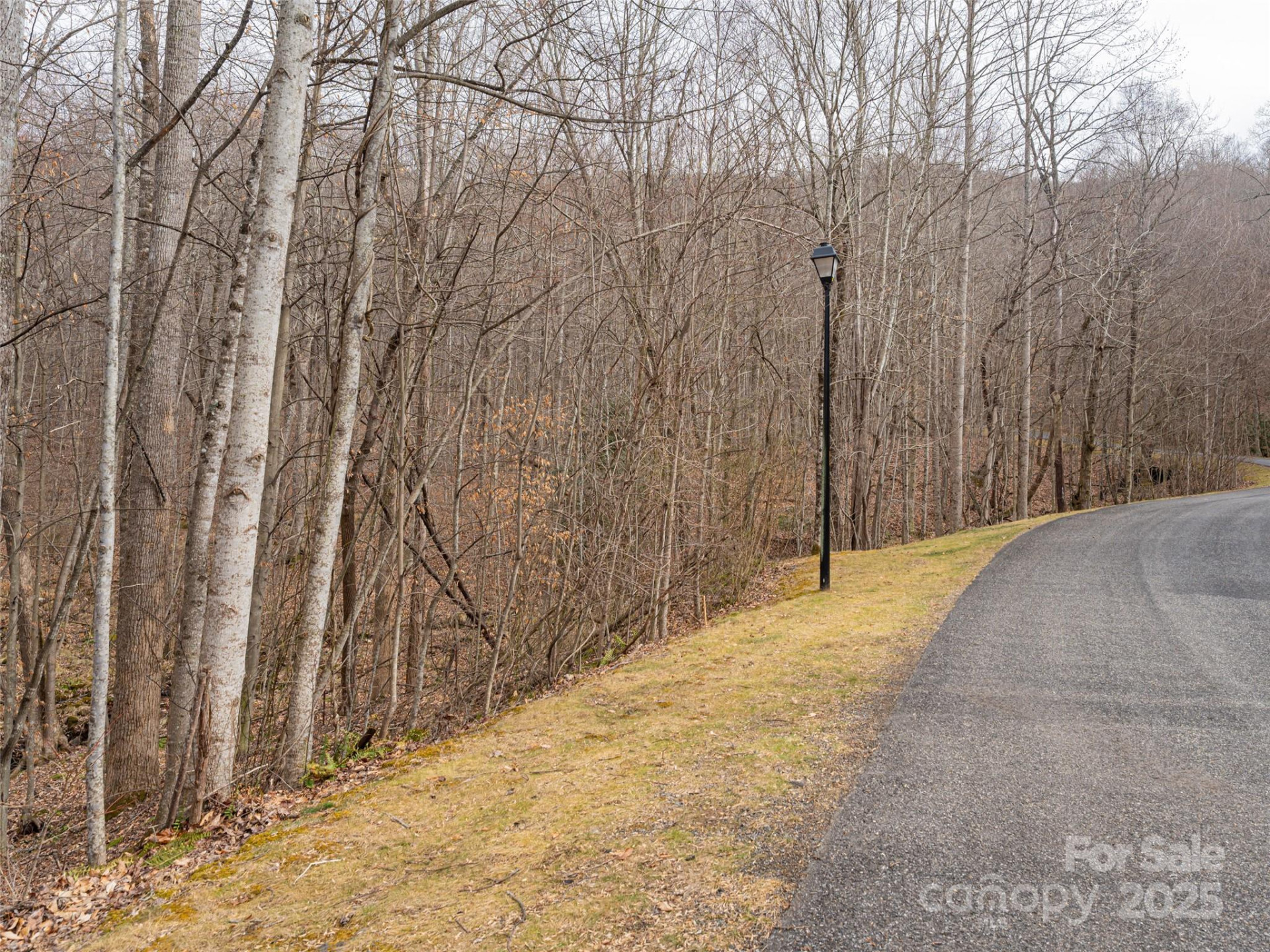 522 & 528 Blue Mist Way - Photo 4