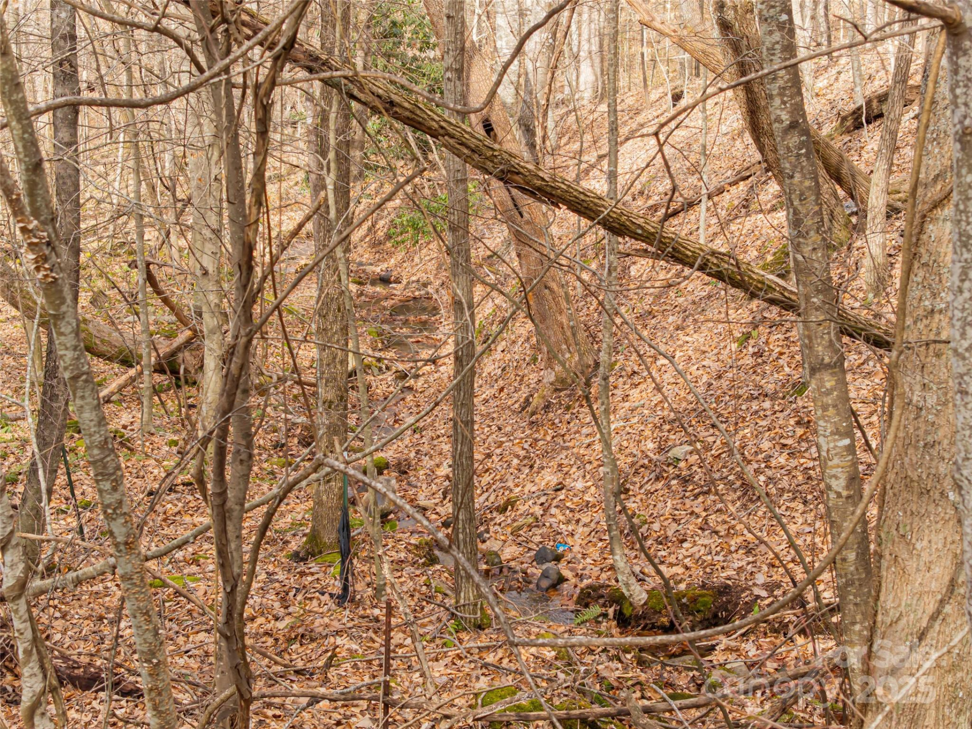 522 & 528 Blue Mist Way - Photo 31