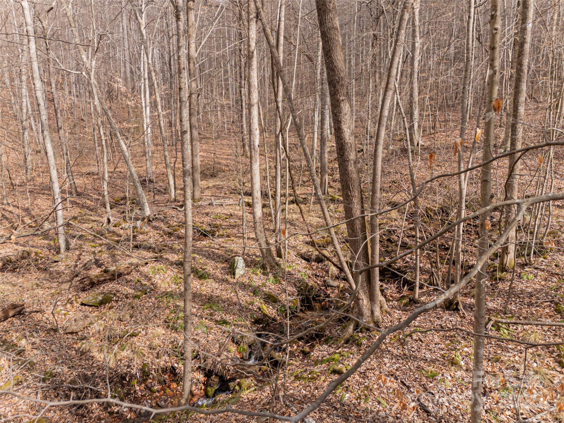 522 & 528 Blue Mist Way - Photo 7