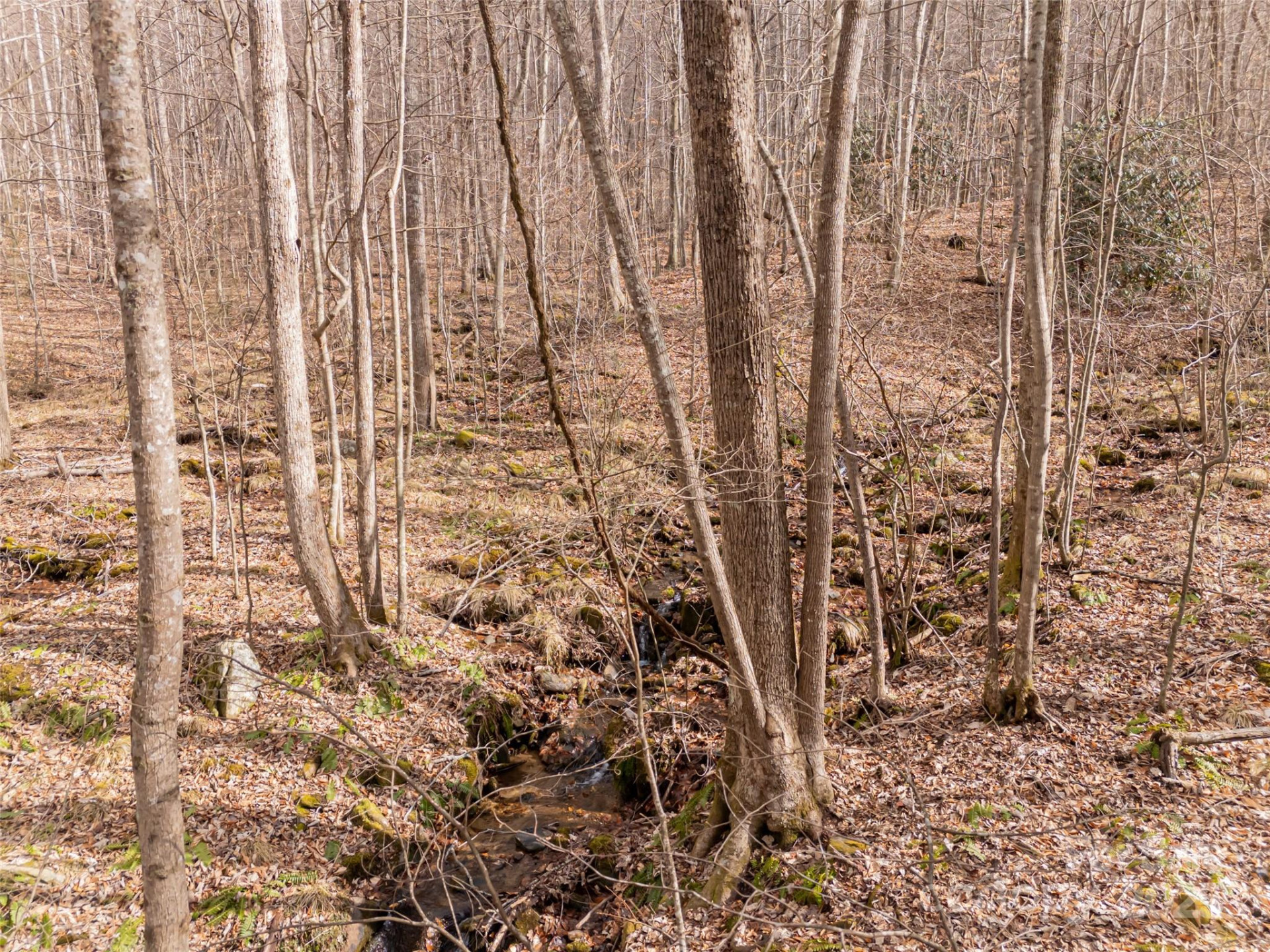 522 & 528 Blue Mist Way - Photo 8