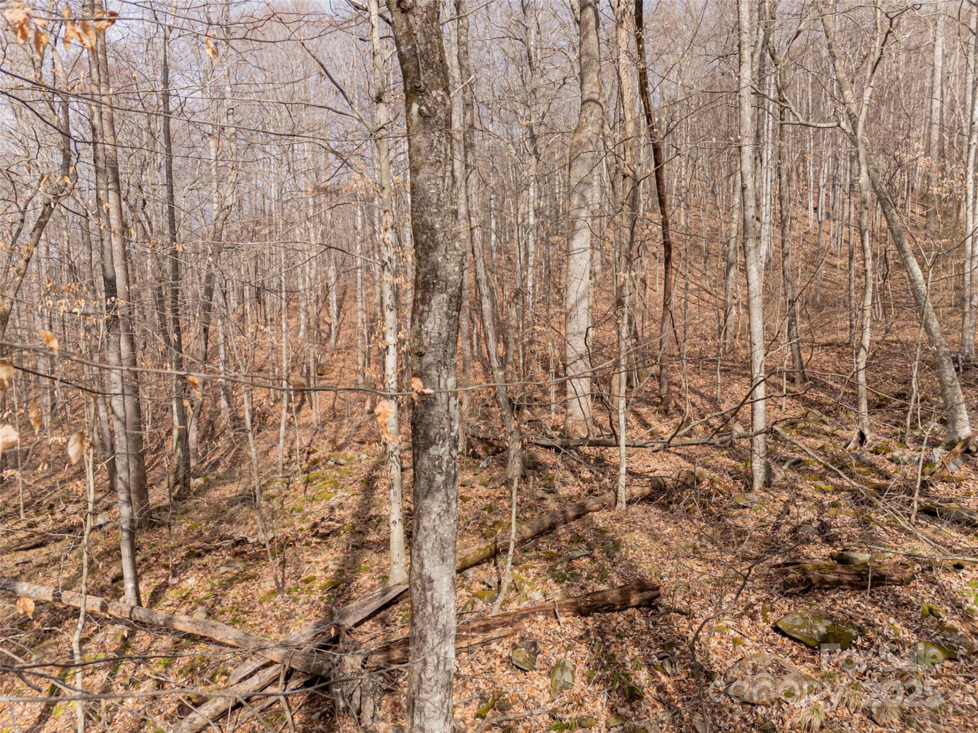 522 & 528 Blue Mist Way - Photo 9