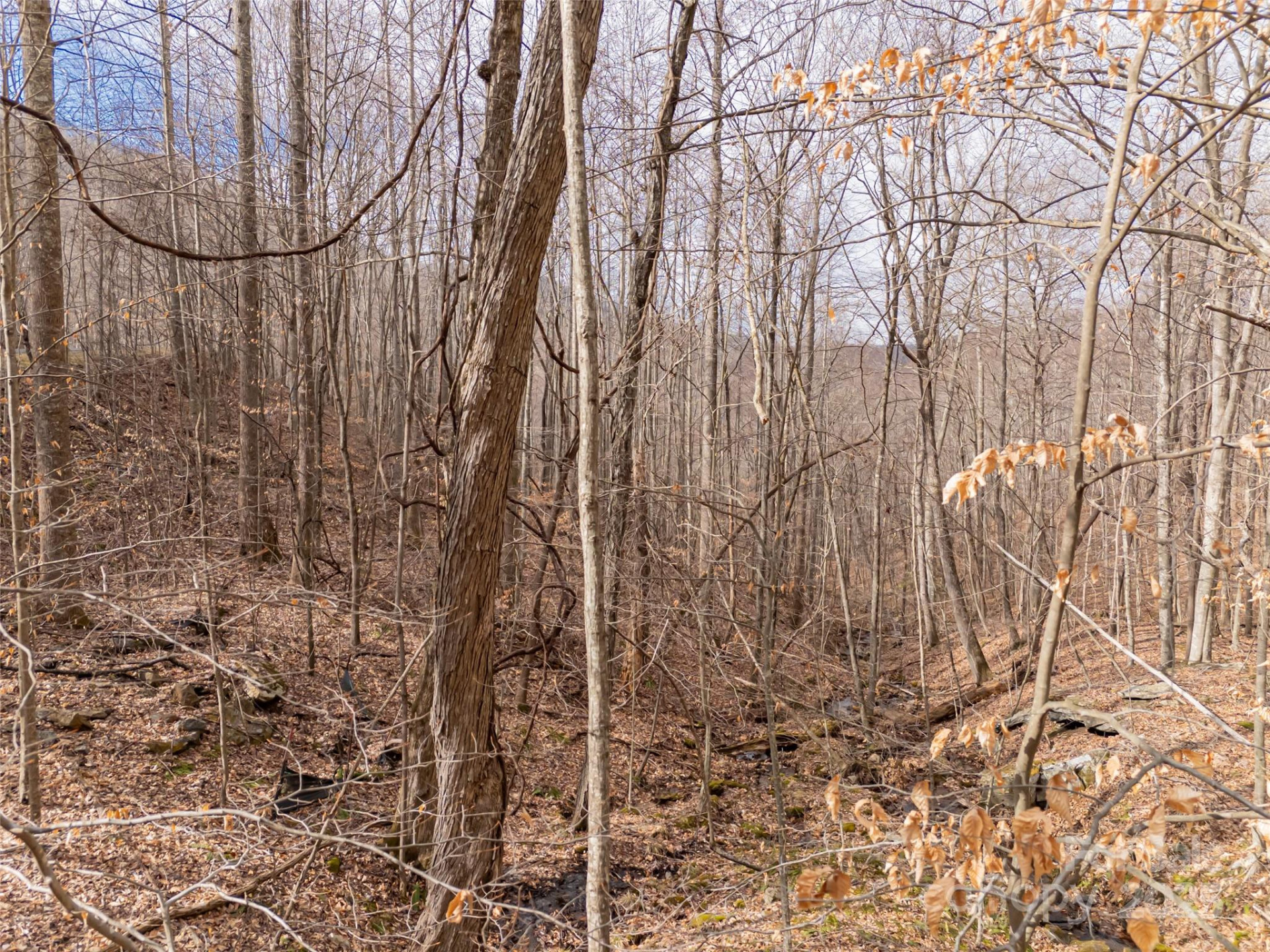 522 & 528 Blue Mist Way - Photo 10