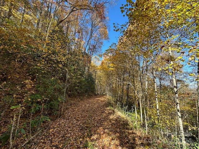 124 & 125 Large Poplar Trail - Photo 11