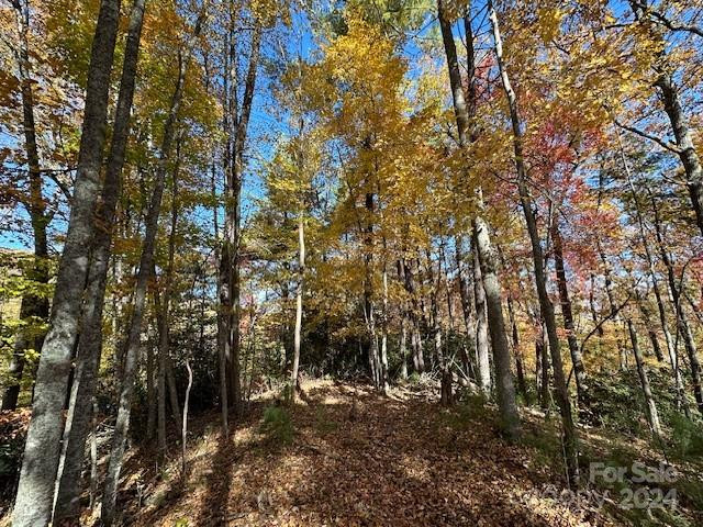 124 & 125 Large Poplar Trail - Photo 12