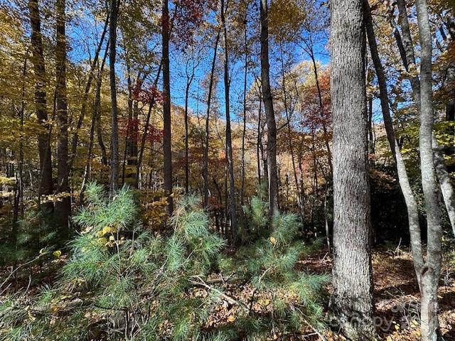 124 & 125 Large Poplar Trail - Photo 13