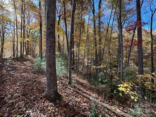 124 & 125 Large Poplar Trail - Photo 14