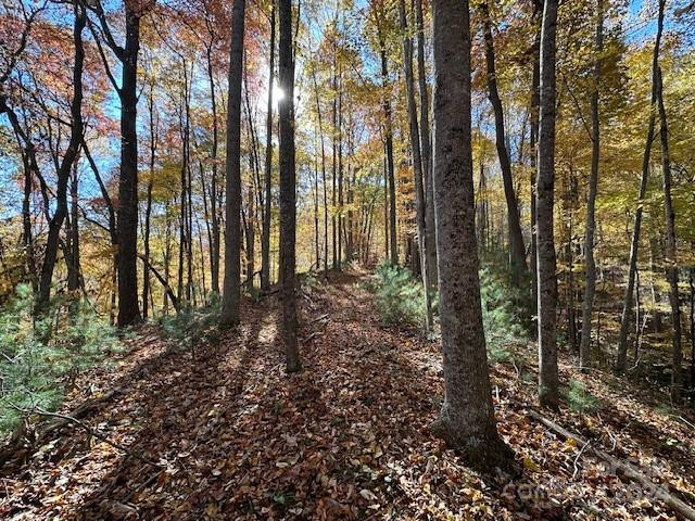 124 & 125 Large Poplar Trail - Photo 15