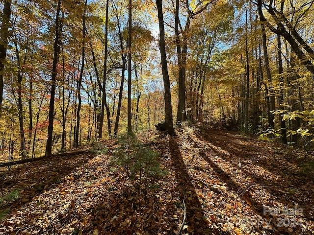 124 & 125 Large Poplar Trail - Photo 16