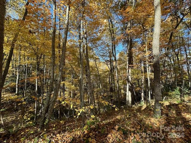 124 & 125 Large Poplar Trail - Photo 17