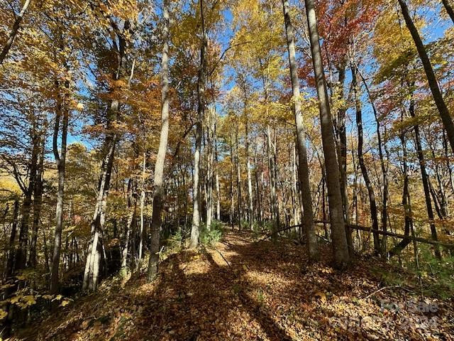 124 & 125 Large Poplar Trail - Photo 18