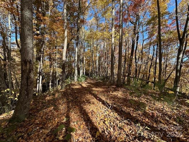 124 & 125 Large Poplar Trail - Photo 19