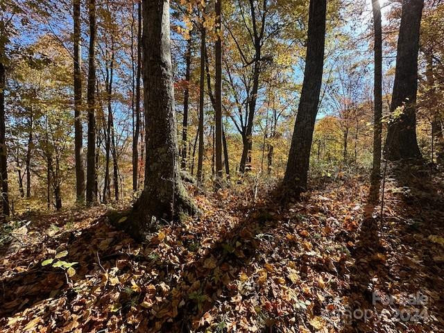 124 & 125 Large Poplar Trail - Photo 20