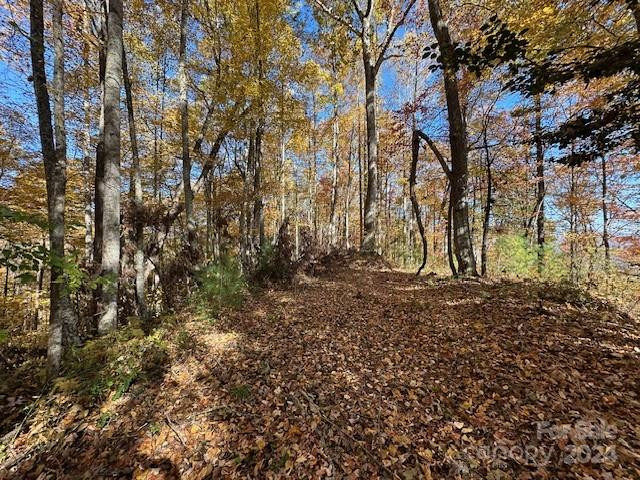 124 & 125 Large Poplar Trail - Photo 21