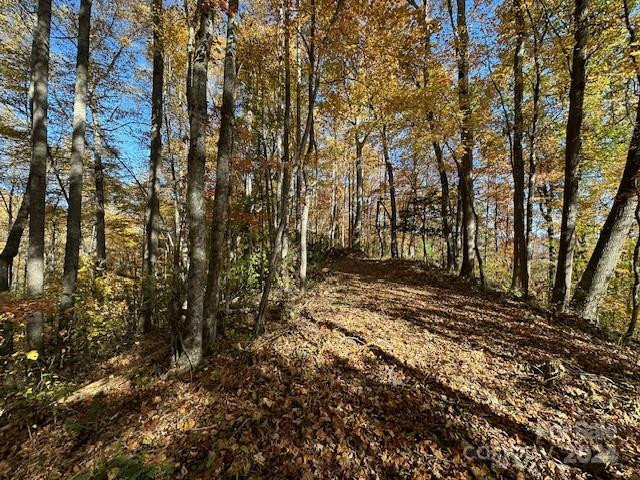 124 & 125 Large Poplar Trail - Photo 22