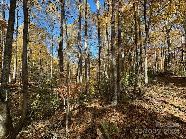 124 & 125 Large Poplar Trail - Photo 23