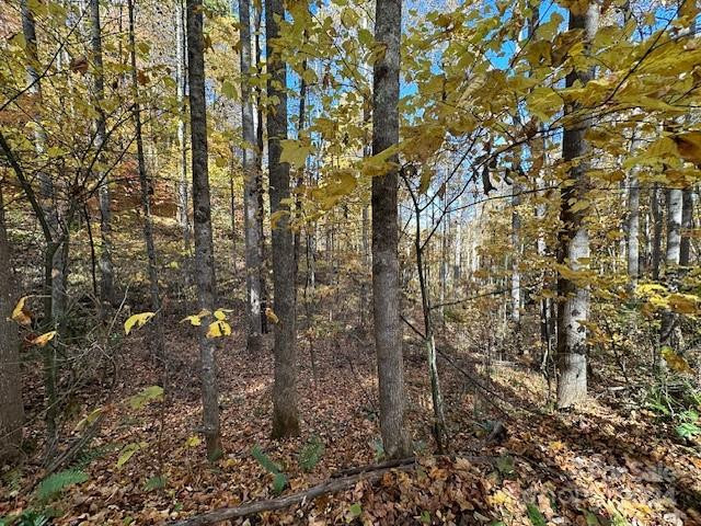 124 & 125 Large Poplar Trail - Photo 24