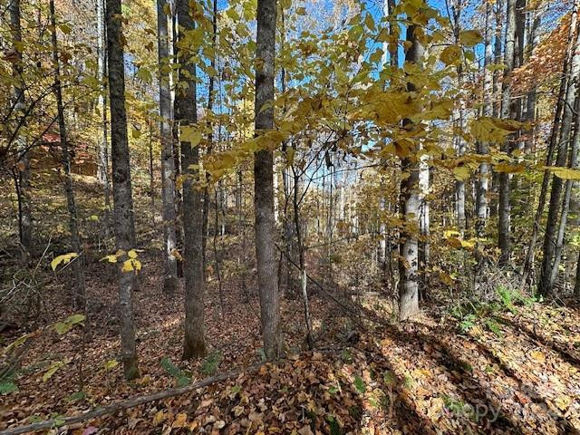 124 & 125 Large Poplar Trail - Photo 25