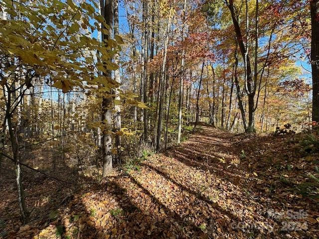 124 & 125 Large Poplar Trail - Photo 26