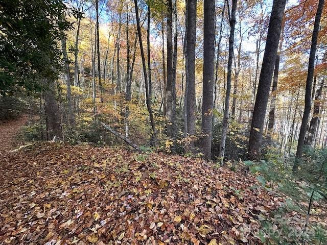 124 & 125 Large Poplar Trail - Photo 4