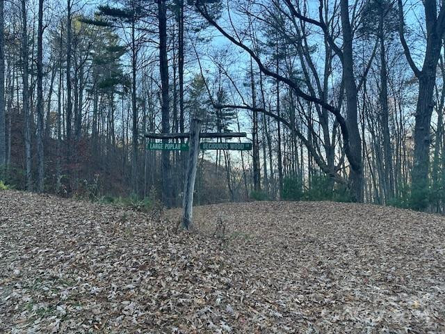 124 & 125 Large Poplar Trail - Photo 34