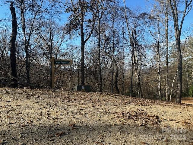 124 & 125 Large Poplar Trail - Photo 35