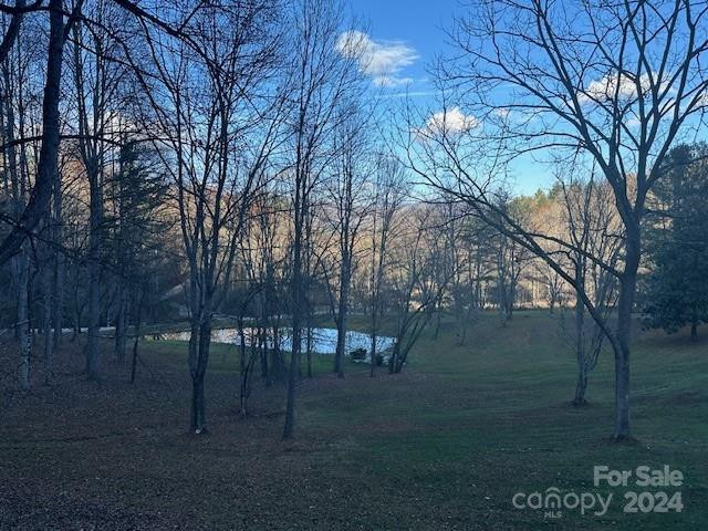 124 & 125 Large Poplar Trail - Photo 36