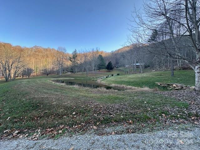 124 & 125 Large Poplar Trail - Photo 37