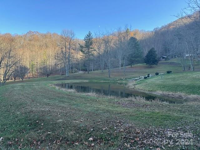 124 & 125 Large Poplar Trail - Photo 38