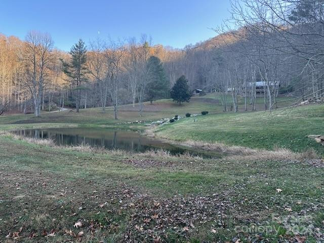 124 & 125 Large Poplar Trail - Photo 39