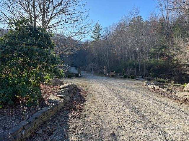 124 & 125 Large Poplar Trail - Photo 40