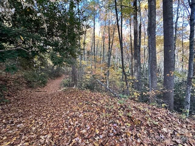 124 & 125 Large Poplar Trail - Photo 5