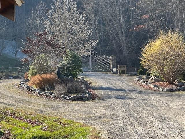 124 & 125 Large Poplar Trail - Photo 41