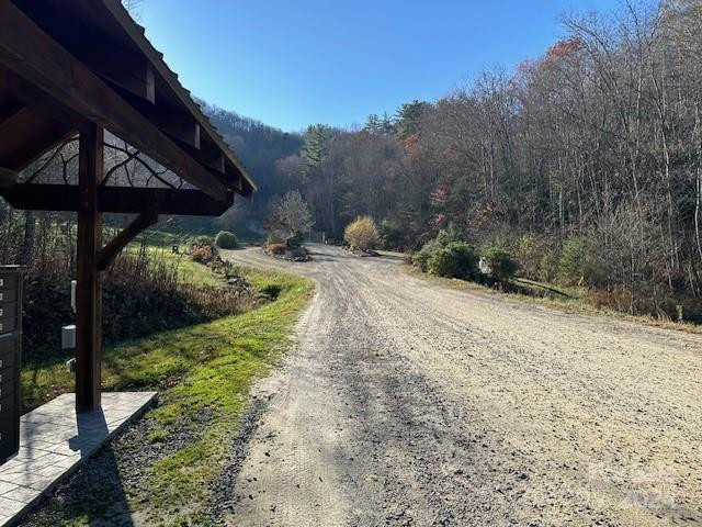 124 & 125 Large Poplar Trail - Photo 42