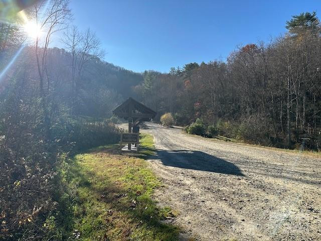 124 & 125 Large Poplar Trail - Photo 43