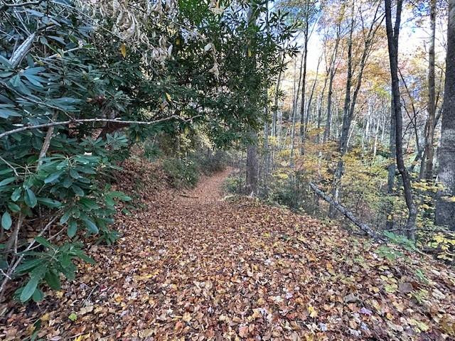 124 & 125 Large Poplar Trail - Photo 6