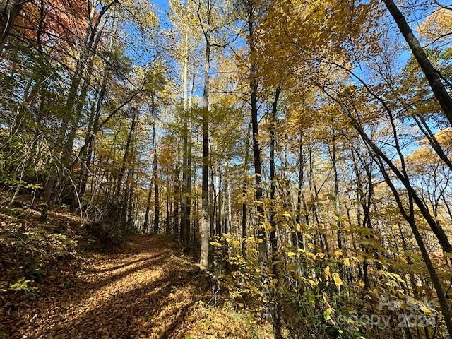 124 & 125 Large Poplar Trail - Photo 7